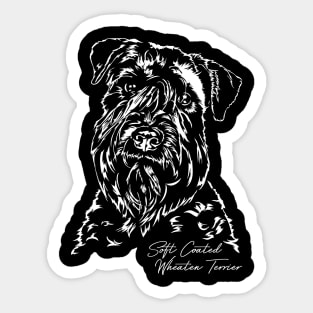 Soft Coated Wheaten Terrier dog portrait Sticker